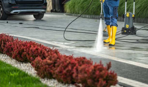 Best Solar Panel Cleaning  in Garrison, TX